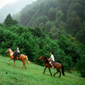 Kakheti, Georgia: Private Horseback Riding Escape Through Pankisi Valley