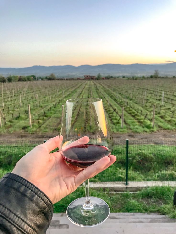 Kakheti – A Boutique Vineyard Stay with Georgian Wine Experiences