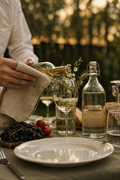 Barcelona: A Vineyard Journey with Gourmet Lunch & Wine Pairing