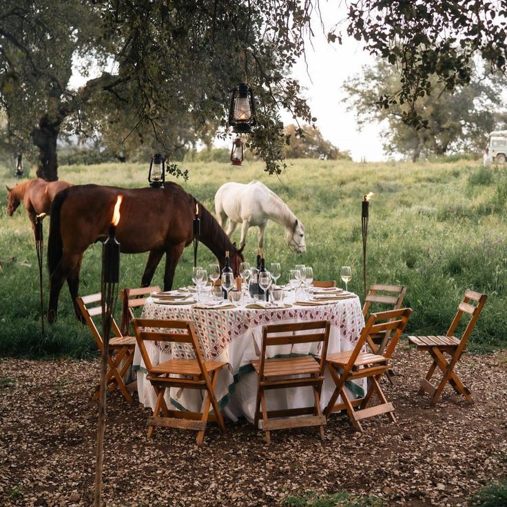 Serra da Estrela – Lusitano Dressage & Mountain Shepherds in Central Portugal
