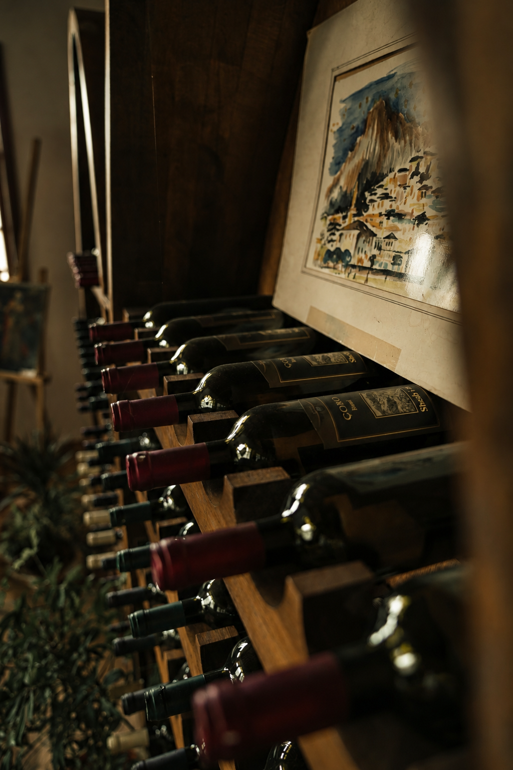 Cape Town: A Horseback Ride through Vines & Wine