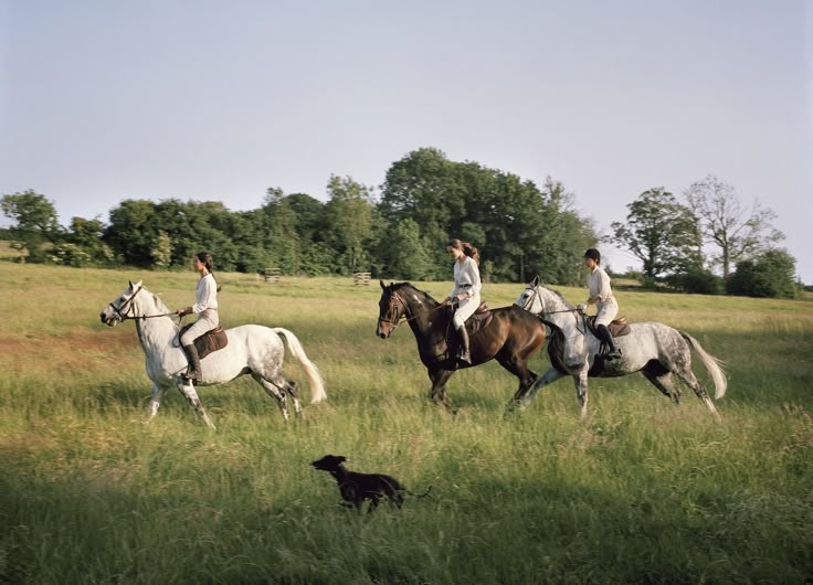 Sierra Morena - A Wild Andalusian Horseback Expedition Under the Stars