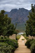 Cape Town: A Private Farm Stay among Orchards & Vines