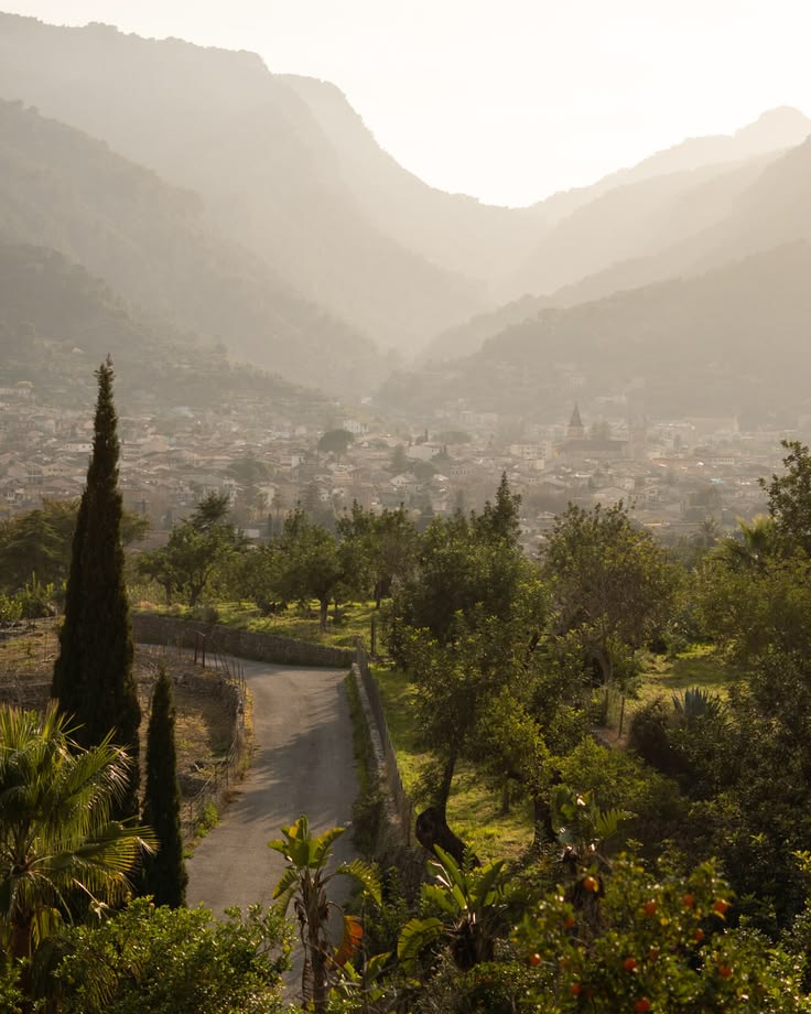 Sierra Morena - A Wild Andalusian Horseback Expedition Under the Stars