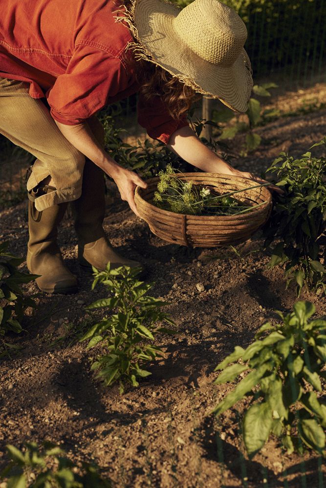 Regenerative Farm Retreat in Andalusia