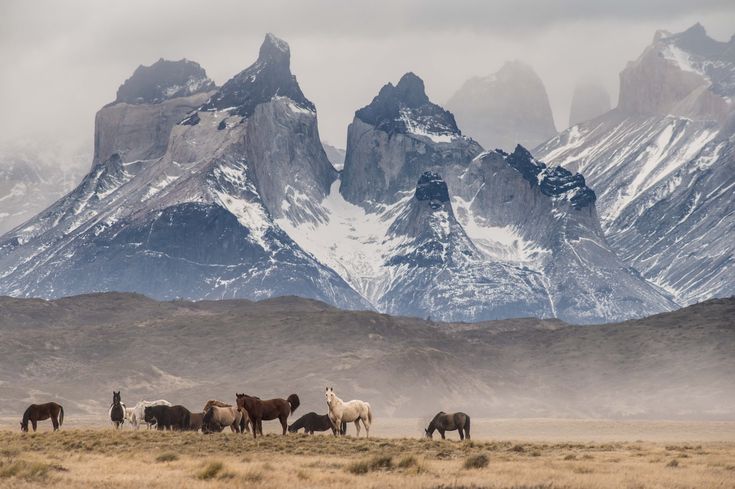 Patagonia – A Remote Andes Horseback Expedition into the Wild