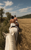 Barcelona: Horseback Riding Through the Penedès Vineyards – A Private Wine Picnic