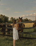 Barcelona: Horseback Riding Through Penedès – A Gourmet Wine & Dining Experience