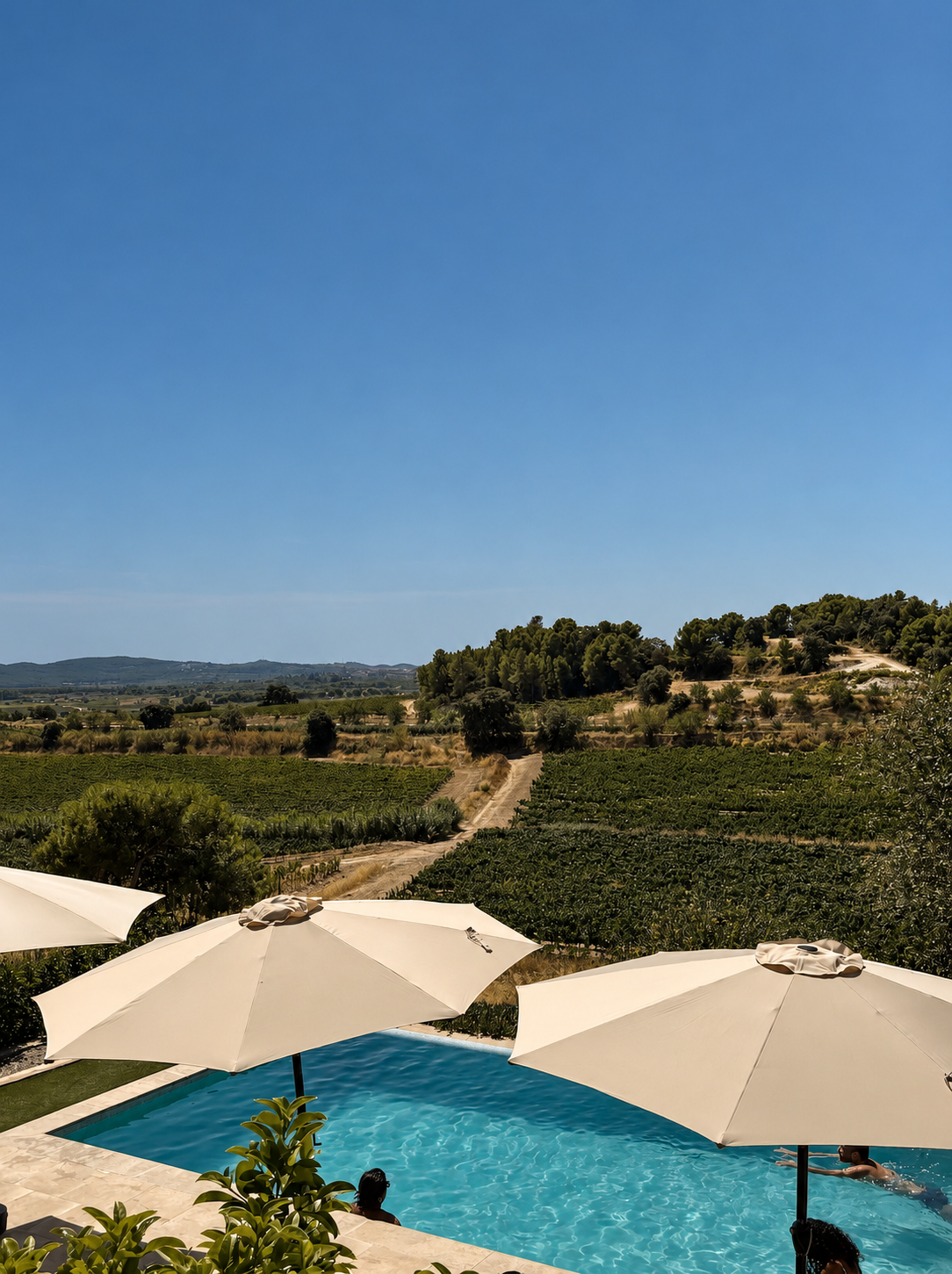 Barcelona: Luxurious Wine Tour – A Bespoke Escape for Your Team