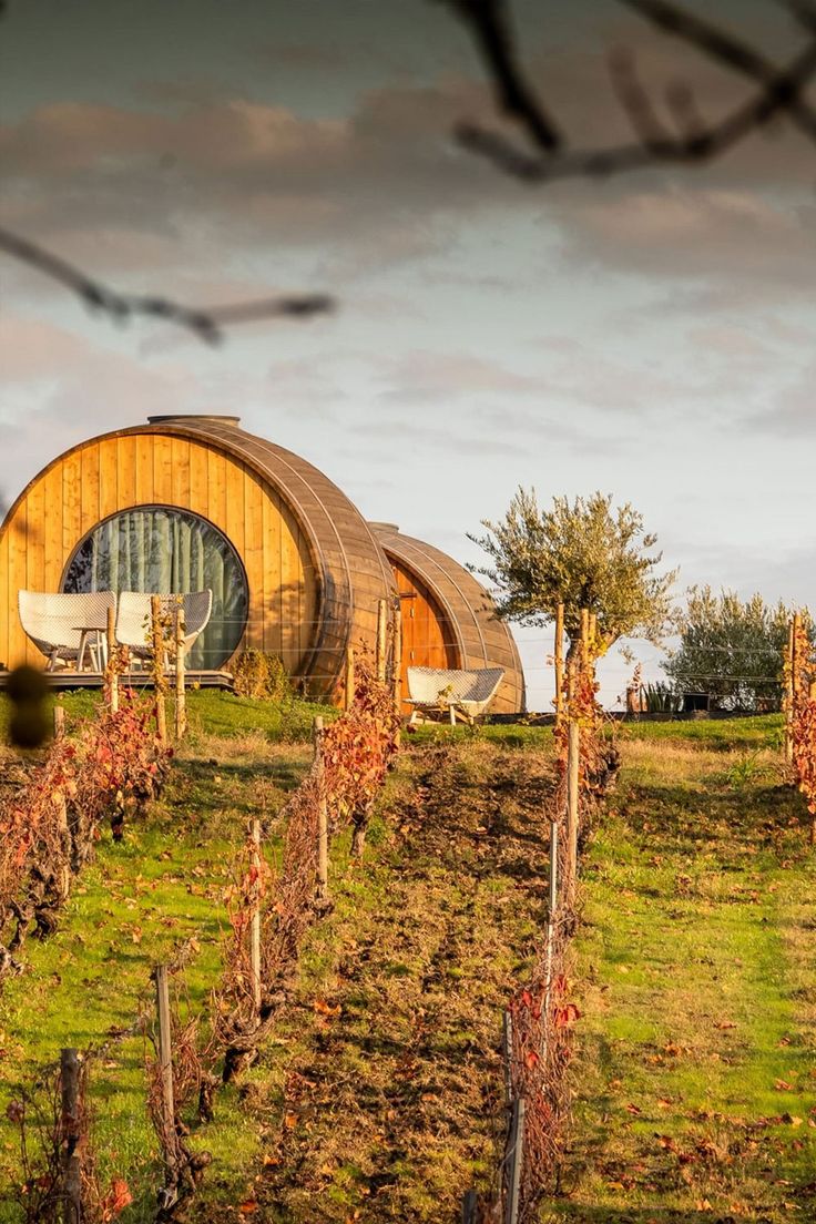 Douro Valley – A Riverside Wine Retreat with Spa & Vineyards