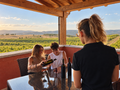 Sardinia: Create Your Own Wine with a Local Winemaker