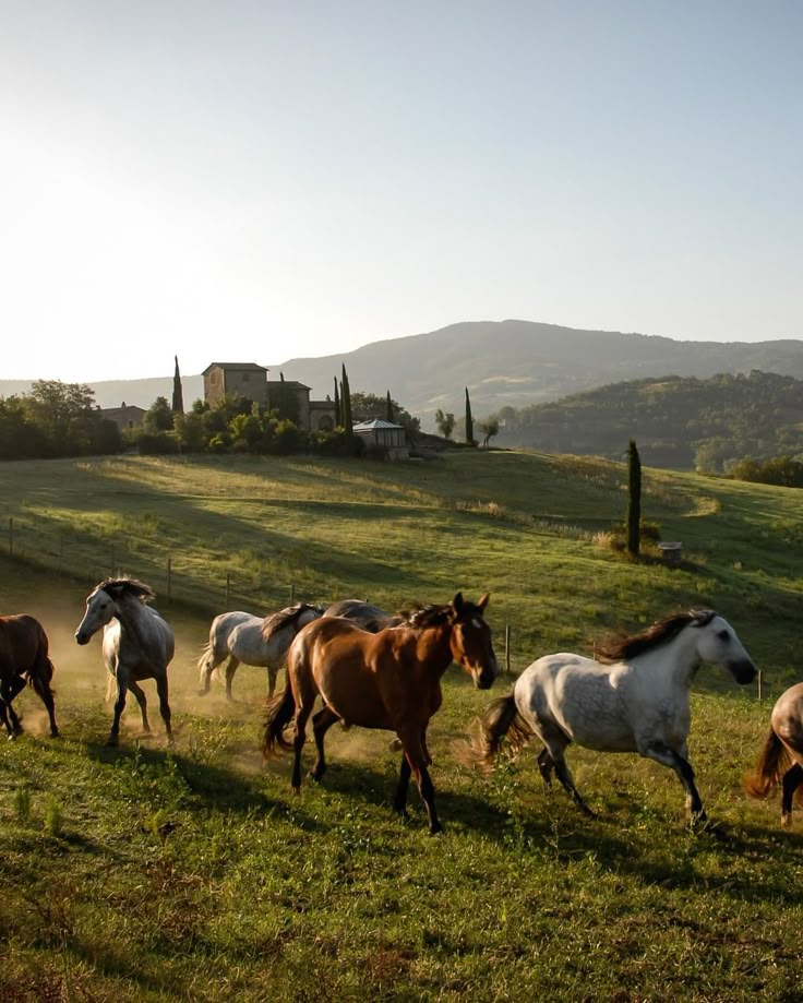Regenerative Farm Retreat in Andalusia