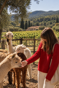 Barcelona: An Alpaca Farm Visit with Vineyard Wine Tasting