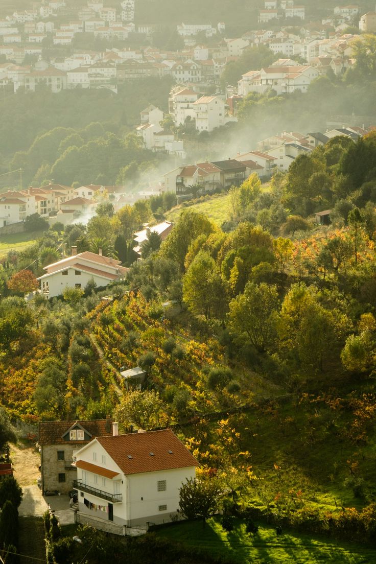 Serra da Estrela – Lusitano Dressage & Mountain Shepherds in Central Portugal