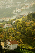 Serra da Estrela – Lusitano Dressage & Mountain Shepherds in Central Portugal