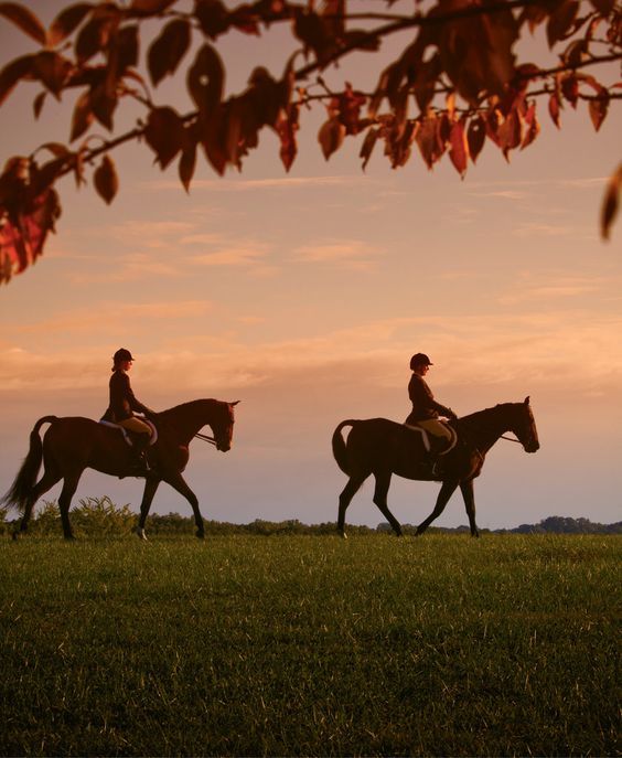 Tuscany – An Autumn Castle Escape with Private Andalusian Stables & Woodland Trails