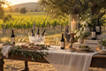 Puglia: An Exclusive Tasting among Ancient Olive Trees and Vines