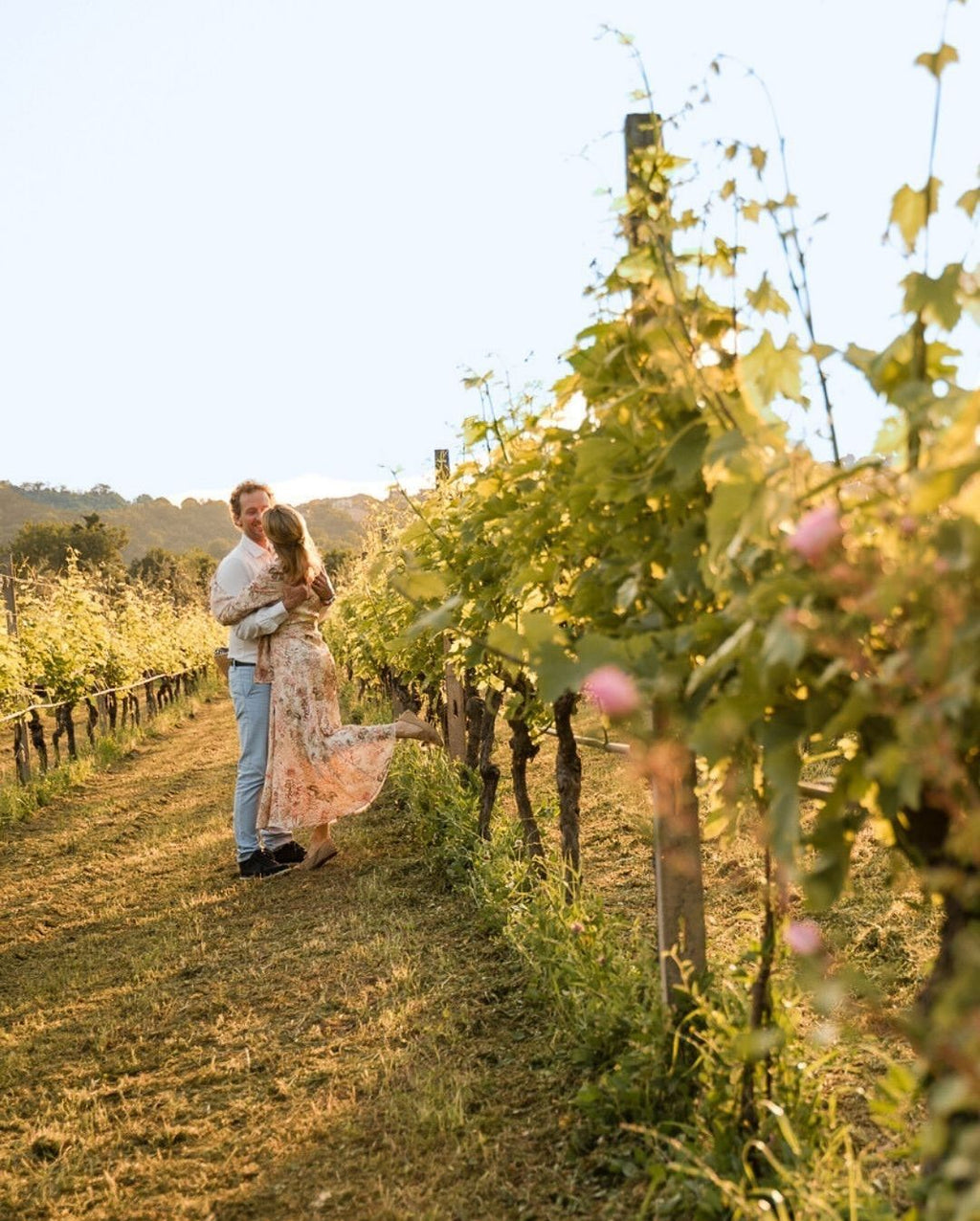 Mallorca Vineyard Hike with Wine Tasting & Local Delicacies