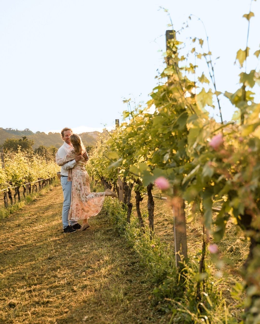 Mallorca Vineyard Hike with Wine Tasting & Local Delicacies