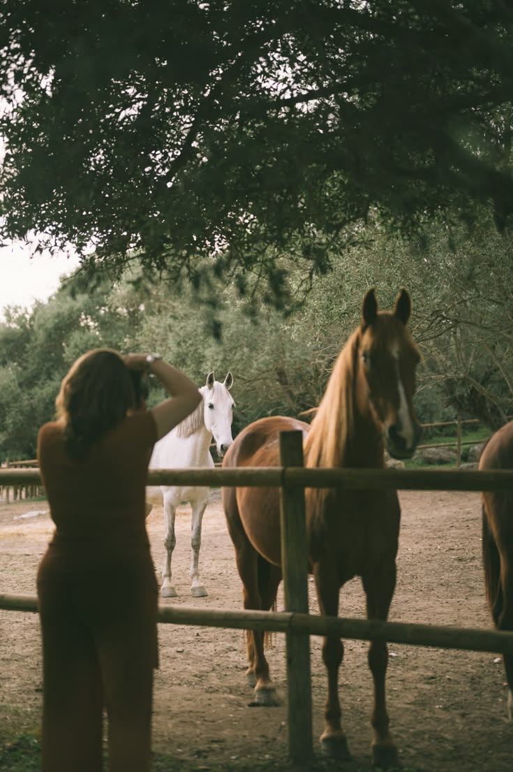 Alentejo – An Ancient Whitewashed Farming Village Estate with Starlit Night Trails