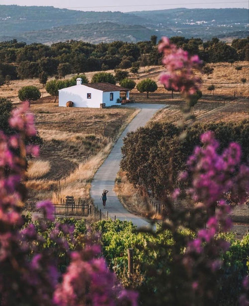 Alentejo – An Ancient Whitewashed Farming Village Estate with Starlit Night Trails