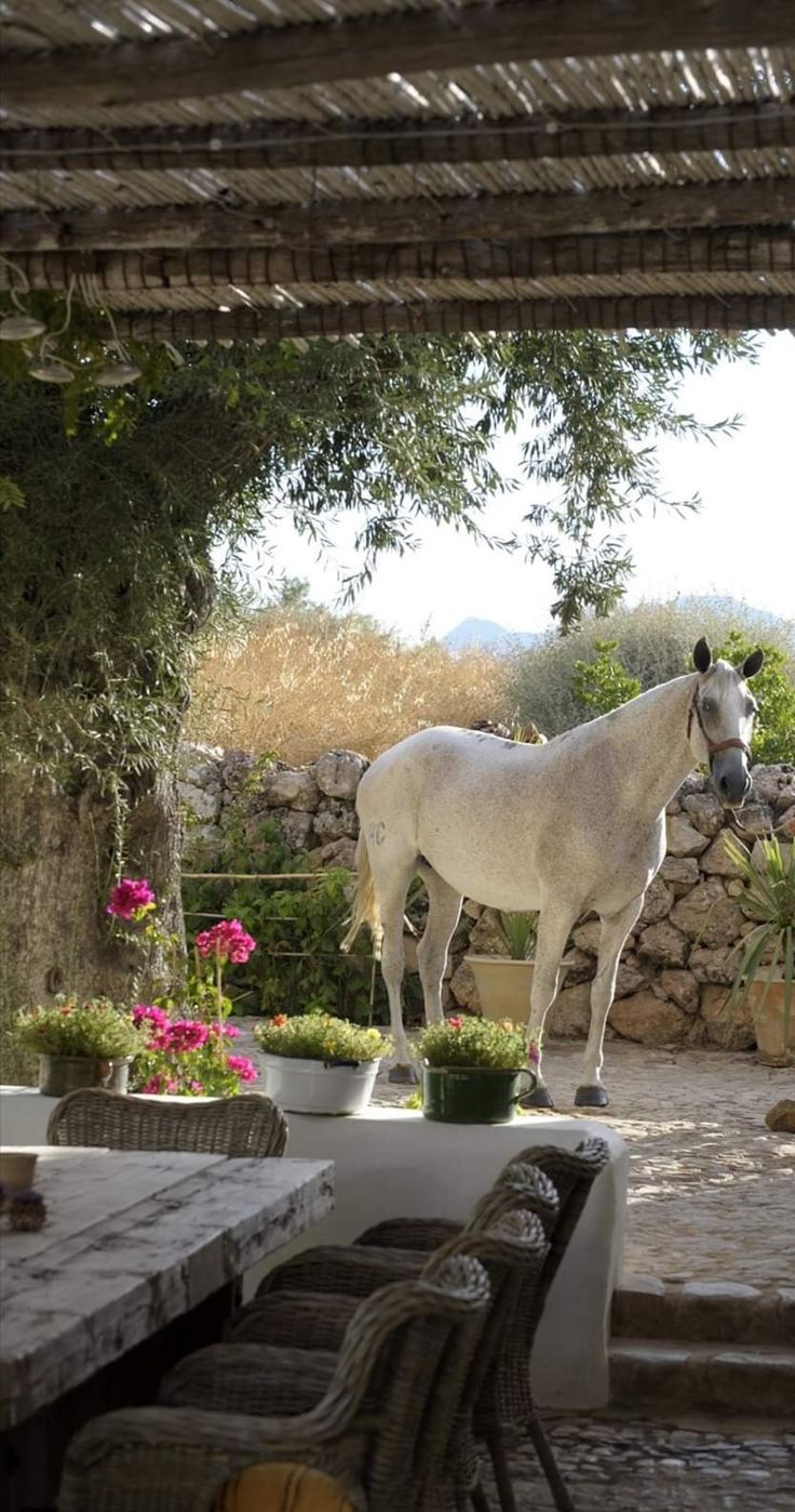 Andalusia – A Traditional Whitewashed Olive Estate with Mountain Horseback Riding