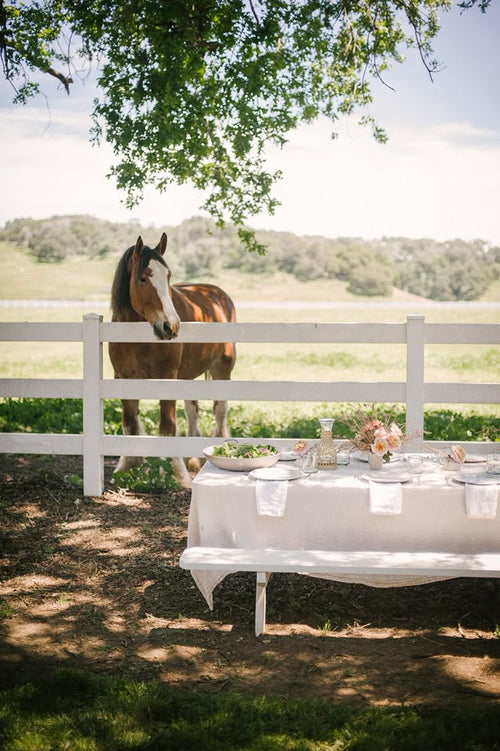 Andalusia – A Traditional Whitewashed Olive Estate with Mountain Horseback Riding