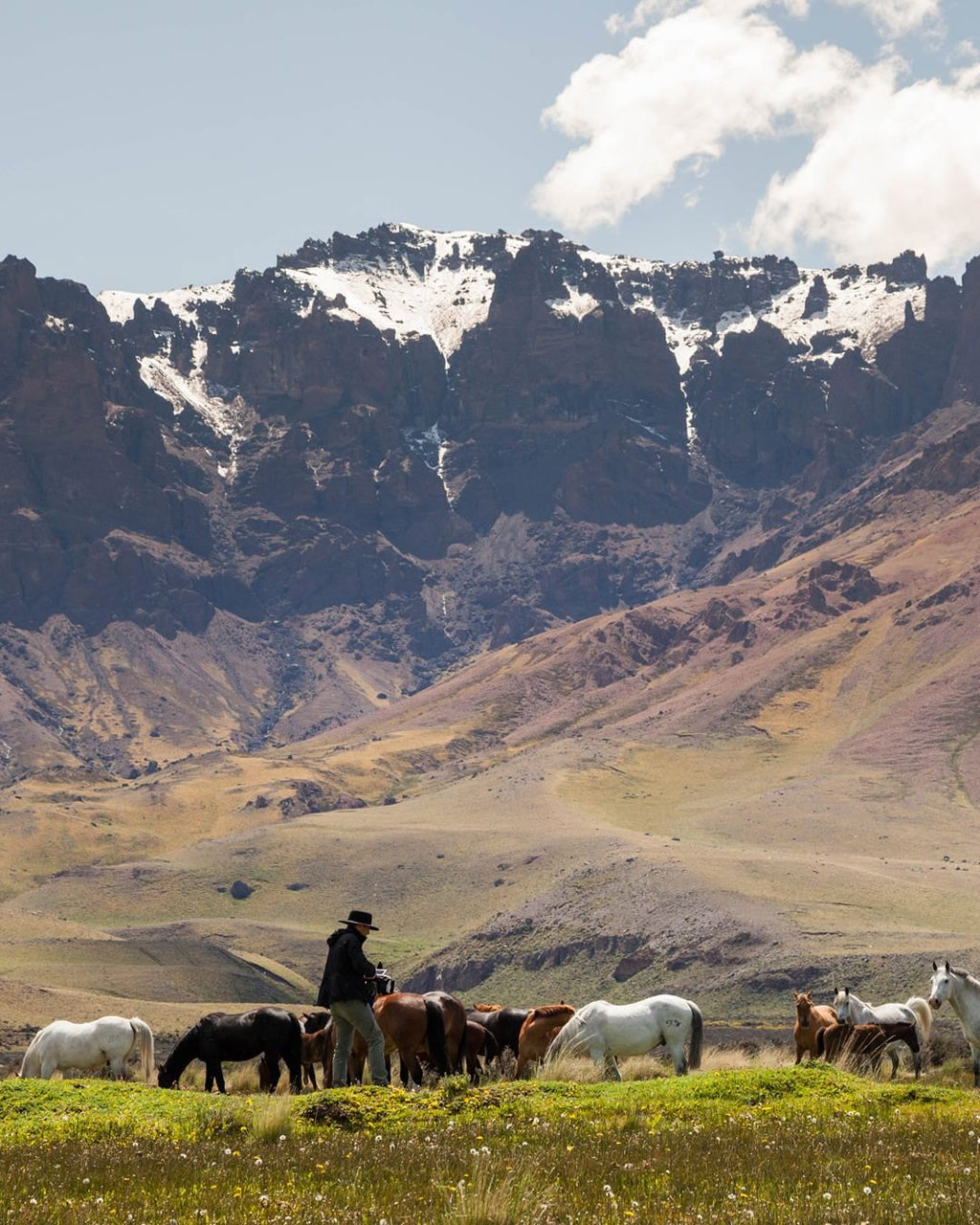 Patagonia – Private Wilderness Villas with Bespoke Nature Expeditions