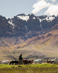 Patagonia – Private Wilderness Villas with Bespoke Nature Expeditions