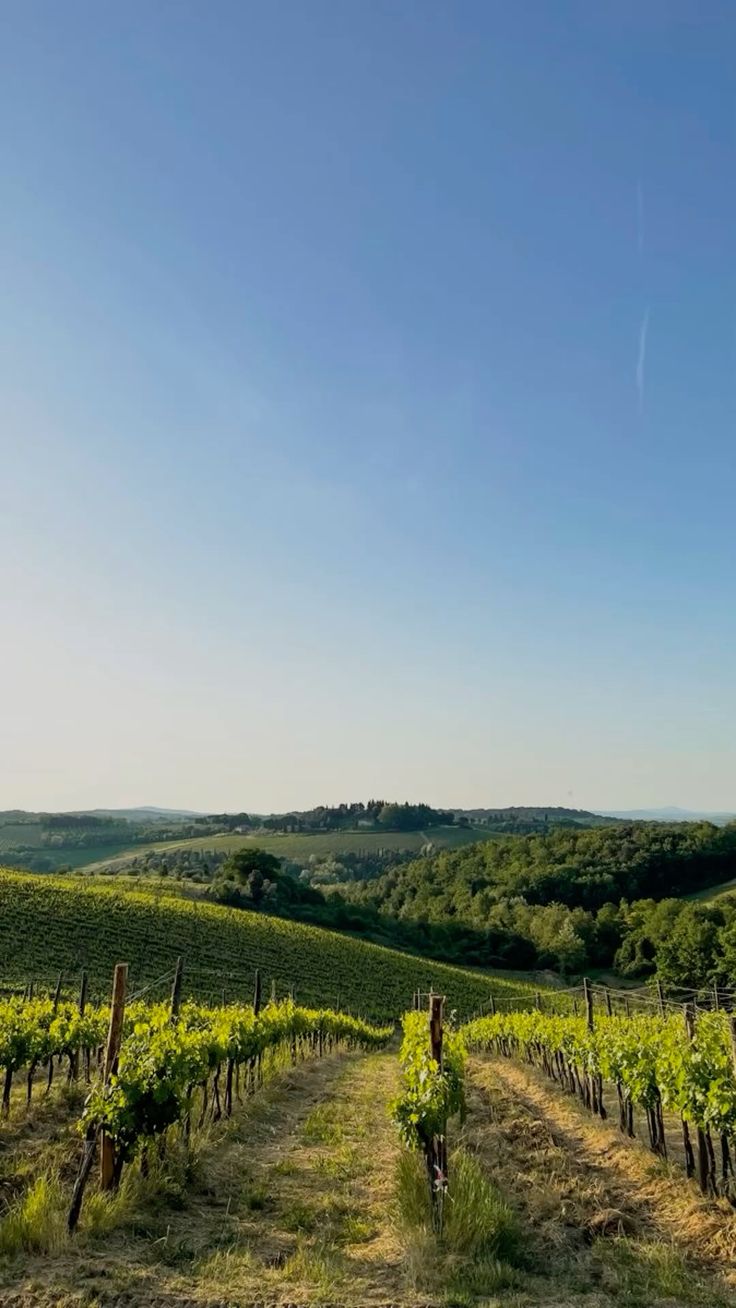 Penedès Rural Wine Getaway with Vineyard Tour & Wine Tasting