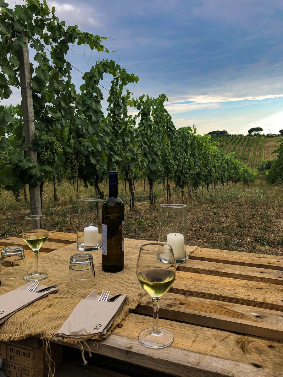 Mallorca Vineyard Hike with Wine Tasting & Local Delicacies