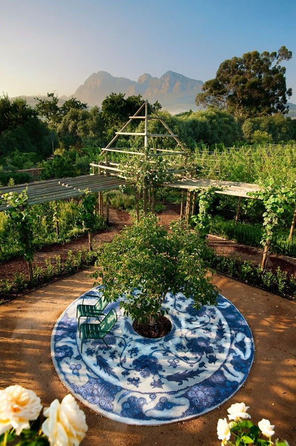 Cape Winelands – A Historic Cape Dutch Farm with Sprawling Botanical Gardens