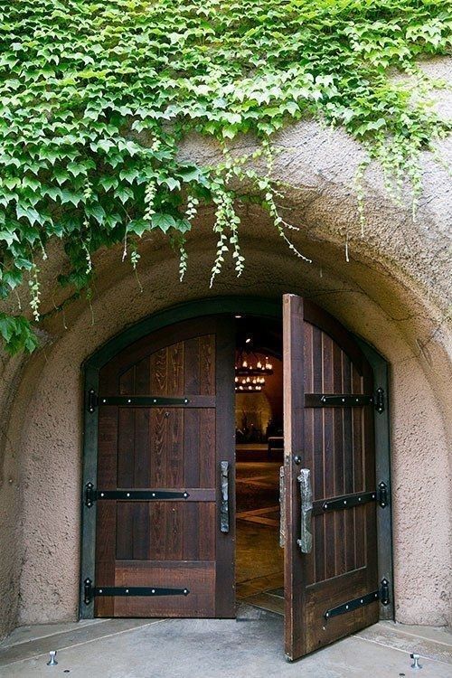 Bordeaux Vineyard Escape: Horseback Riding, Wine Tasting & Picnic