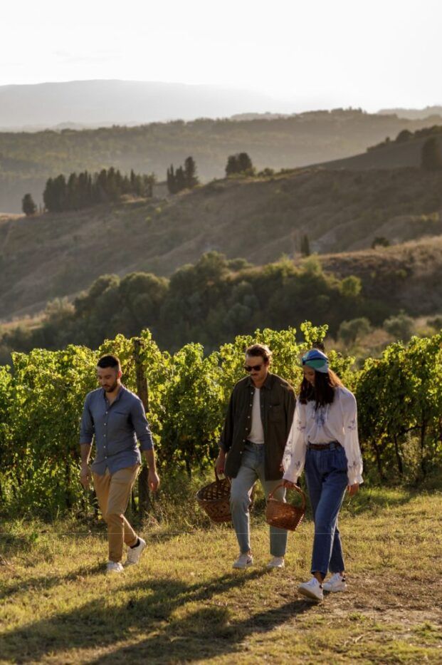 Catalonia Art Nouveau Wine Tour with Lunch & Vineyard Tastings