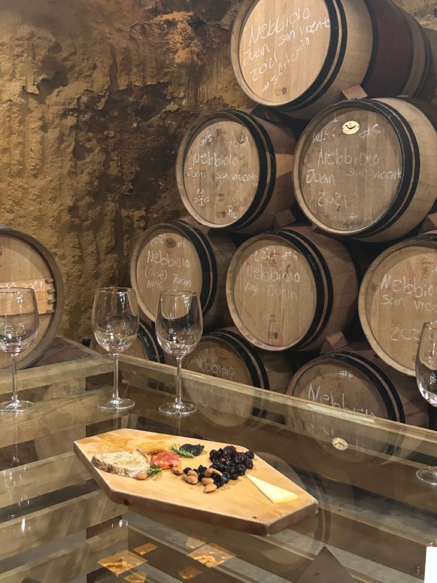 Organic Wine Tasting & Gourmet Lunch in Penedès Vineyards