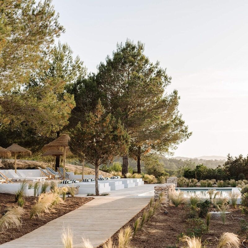 Ibiza – A 17th-Century Island Sanctuary with Organic Olive Farm & Open-Air Wellness