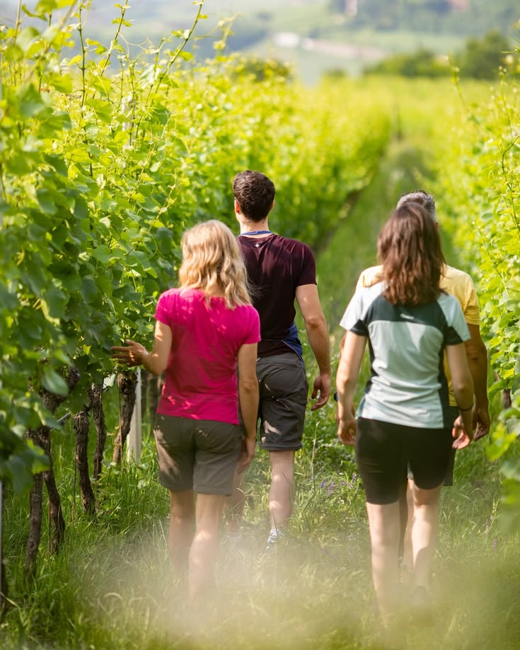 Weekend Spa & Wine Escape in Penedès with Vineyard Tour