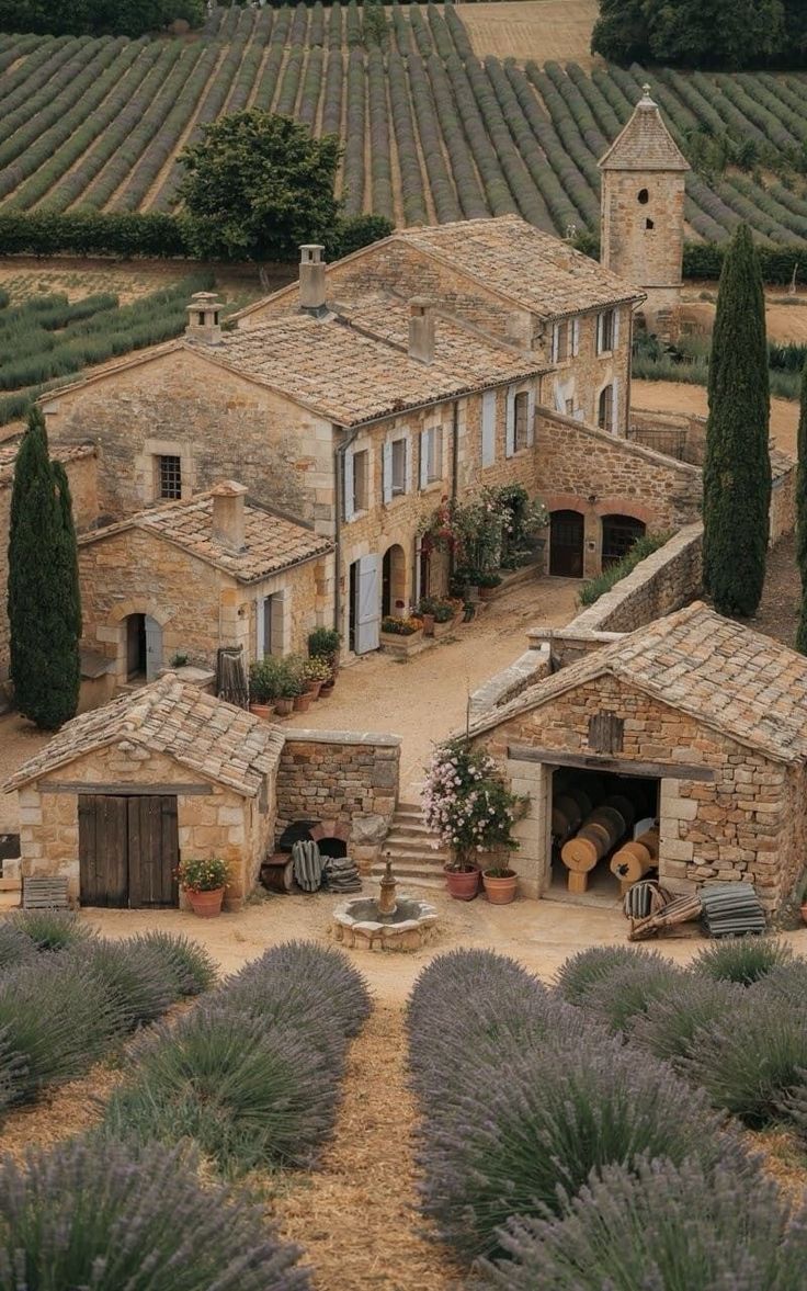 Provence – A Lavender Countryside Wellness Escape