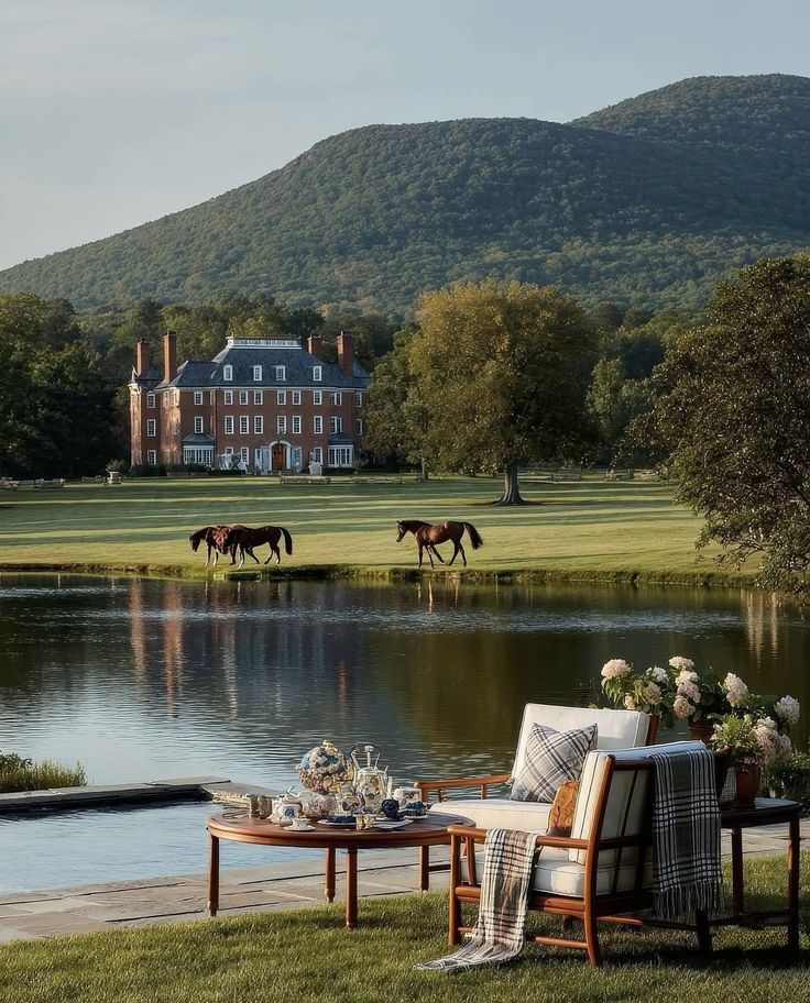 Provence – A Lavender Countryside Wellness Escape