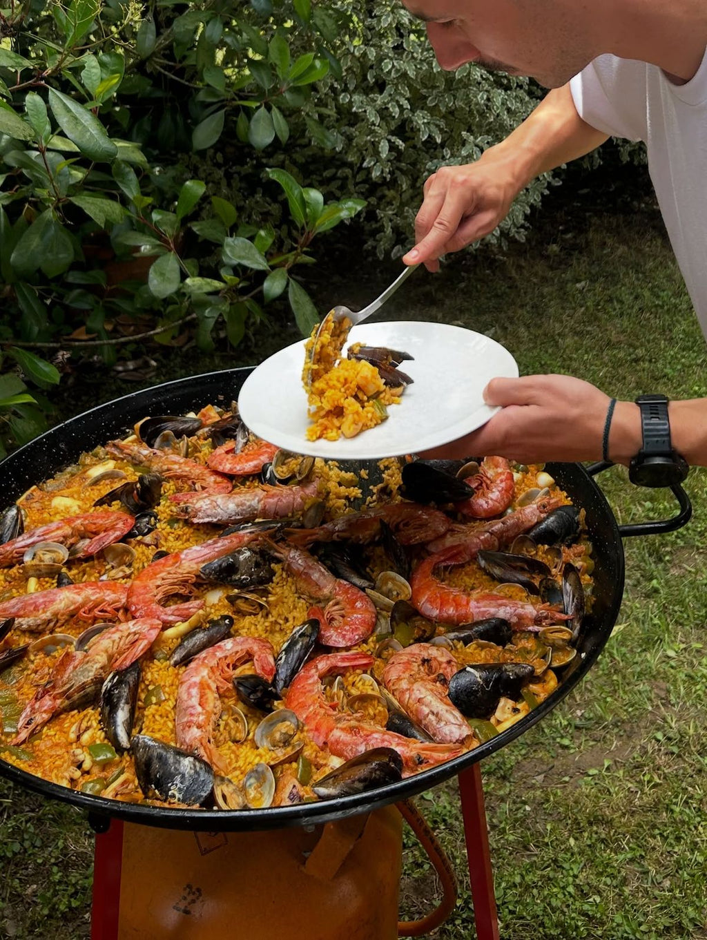 Penedès Wine Tasting & Catalan Cooking Class Experience