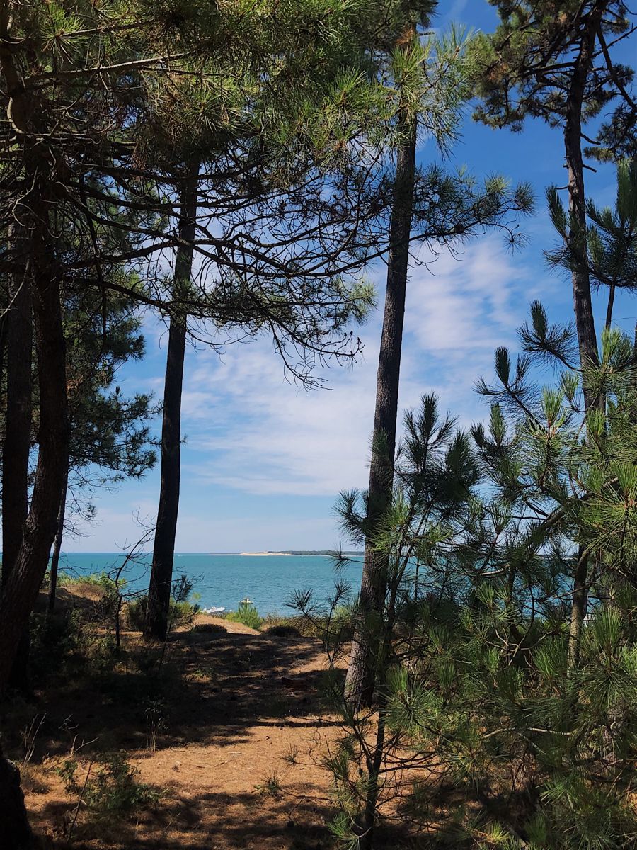 French Riviera: Luxury Coastal Escape with Panoramic Sea Views & Wellness Experiences