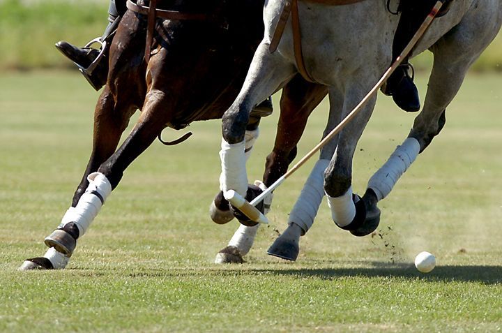 Hautes-Alpes - A Wild Mountain Horseback Journey Through Provence