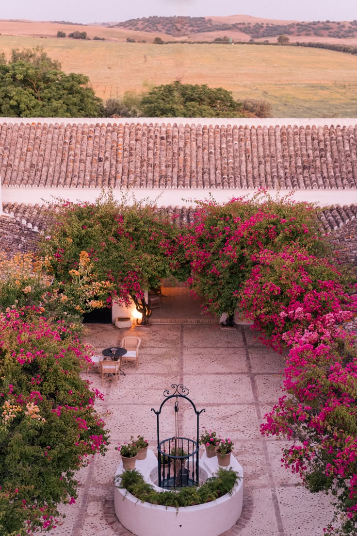 Andalusia – A Timeless Whitewashed Olive Estate with Bougainvillea Courtyards