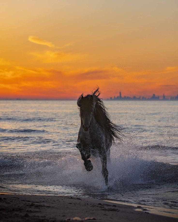 Sumba – A Remote Wilderness Ocean Sanctuary with Private Horseback Riding
