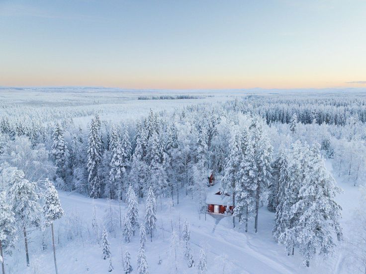 Swedish Lapland – A Private Timber Cabin with Boreal Forest Silence & Arctic Slow Living