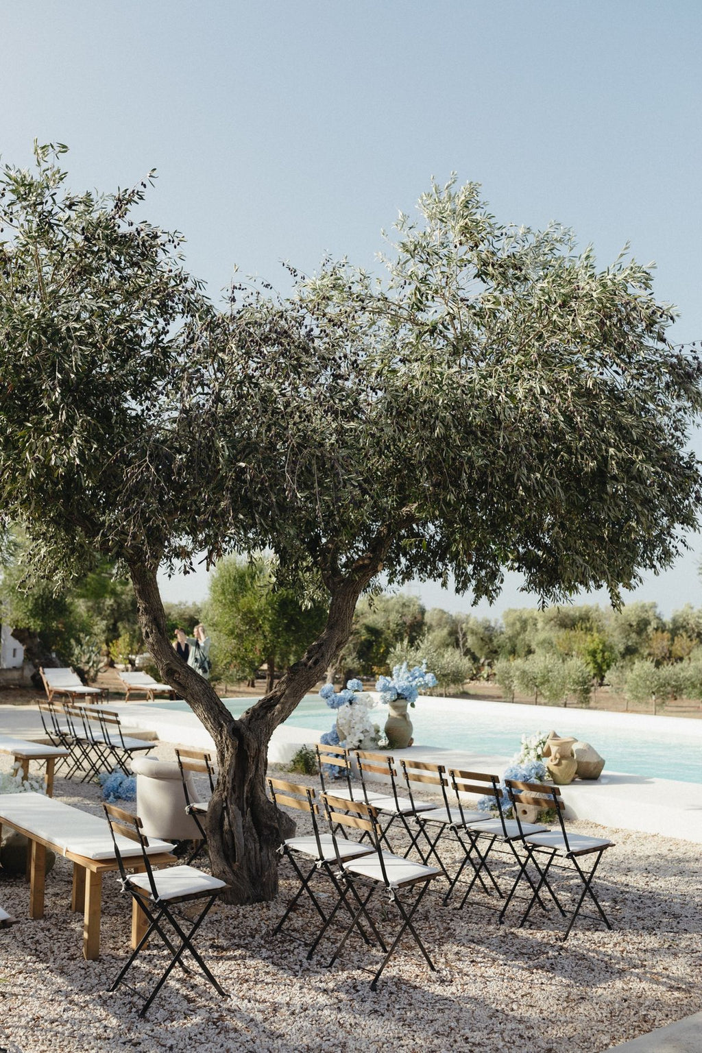 Puglia – A Modern White-Stone Farmhouse with Organic Olive Groves & Slow Design