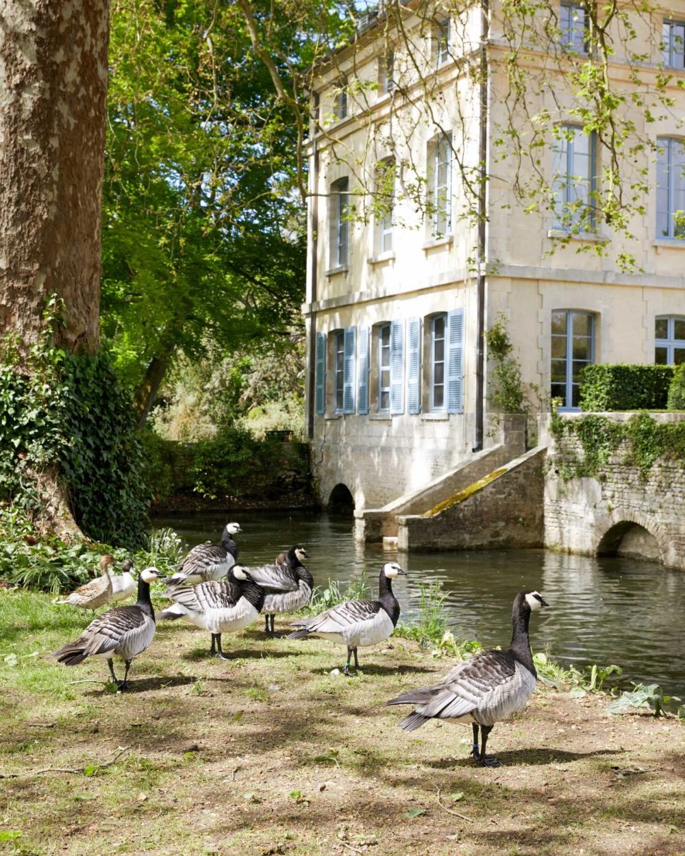 Normandy – An 18th-Century Riverside Manor with Wild Horse Pastures & Slow Rituals