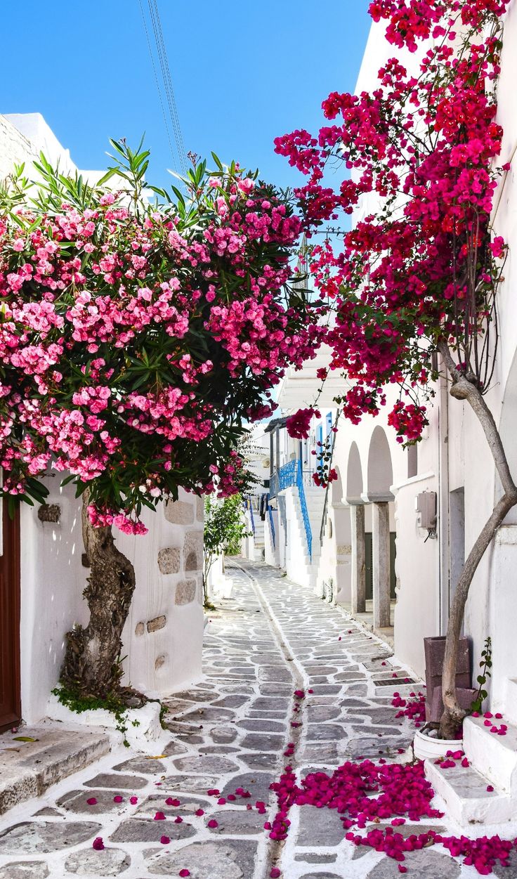 Paros – A Slow-Living Cycladic Boutique Escape with Sun-Drenched Stone Pools