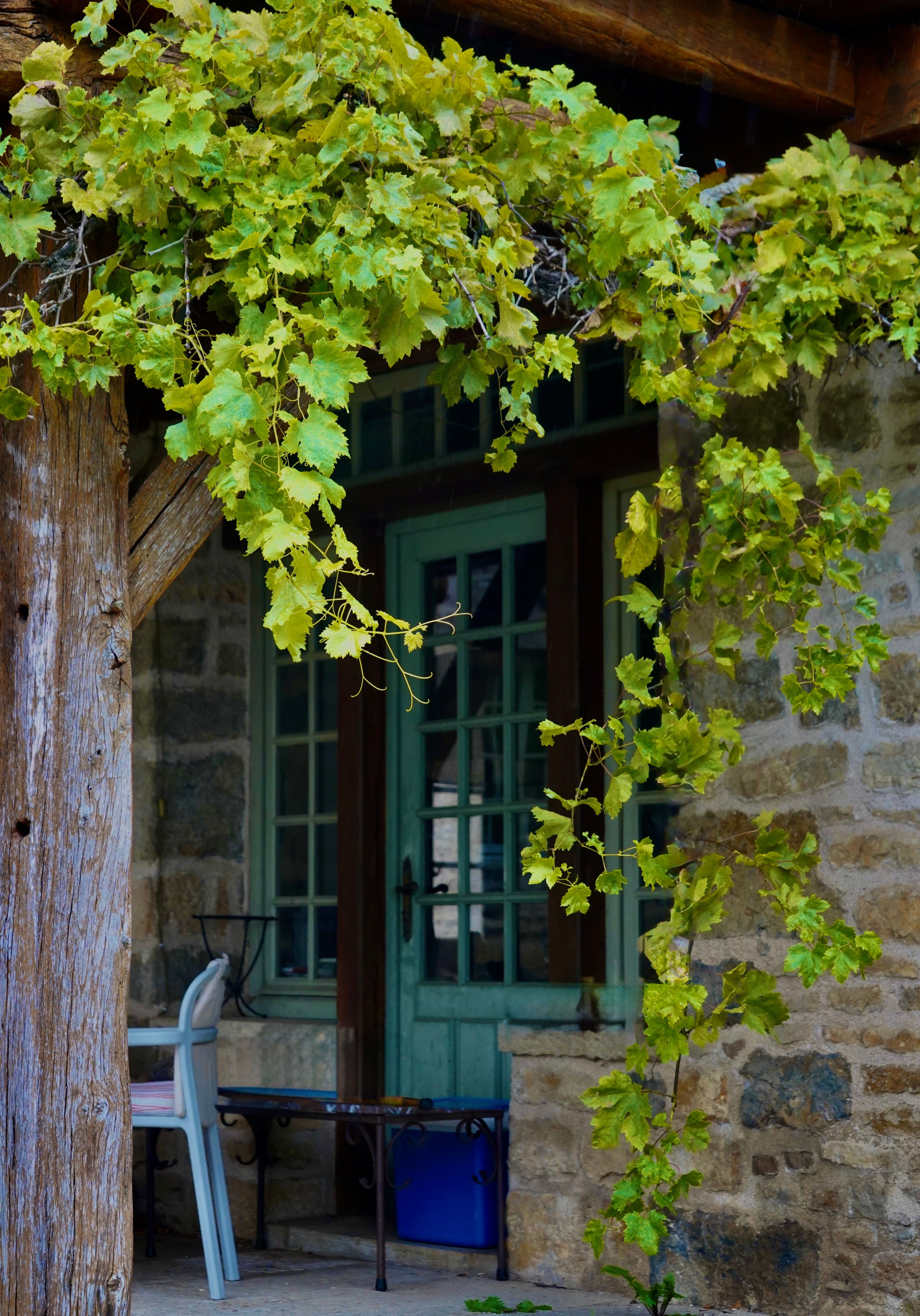 Bordeaux - The Vineyard Stay