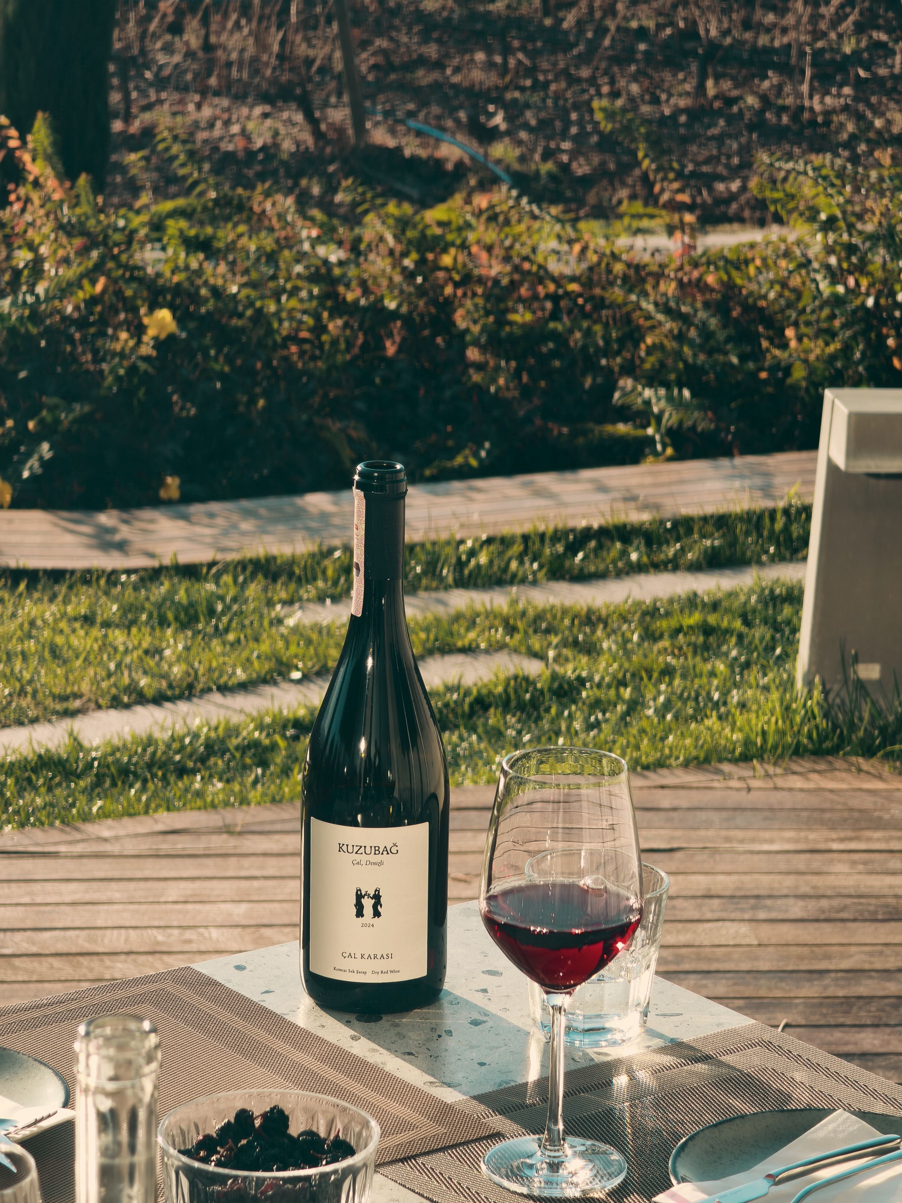 Barcelona Private Vineyard Horseback & Gourmet Wine Journey